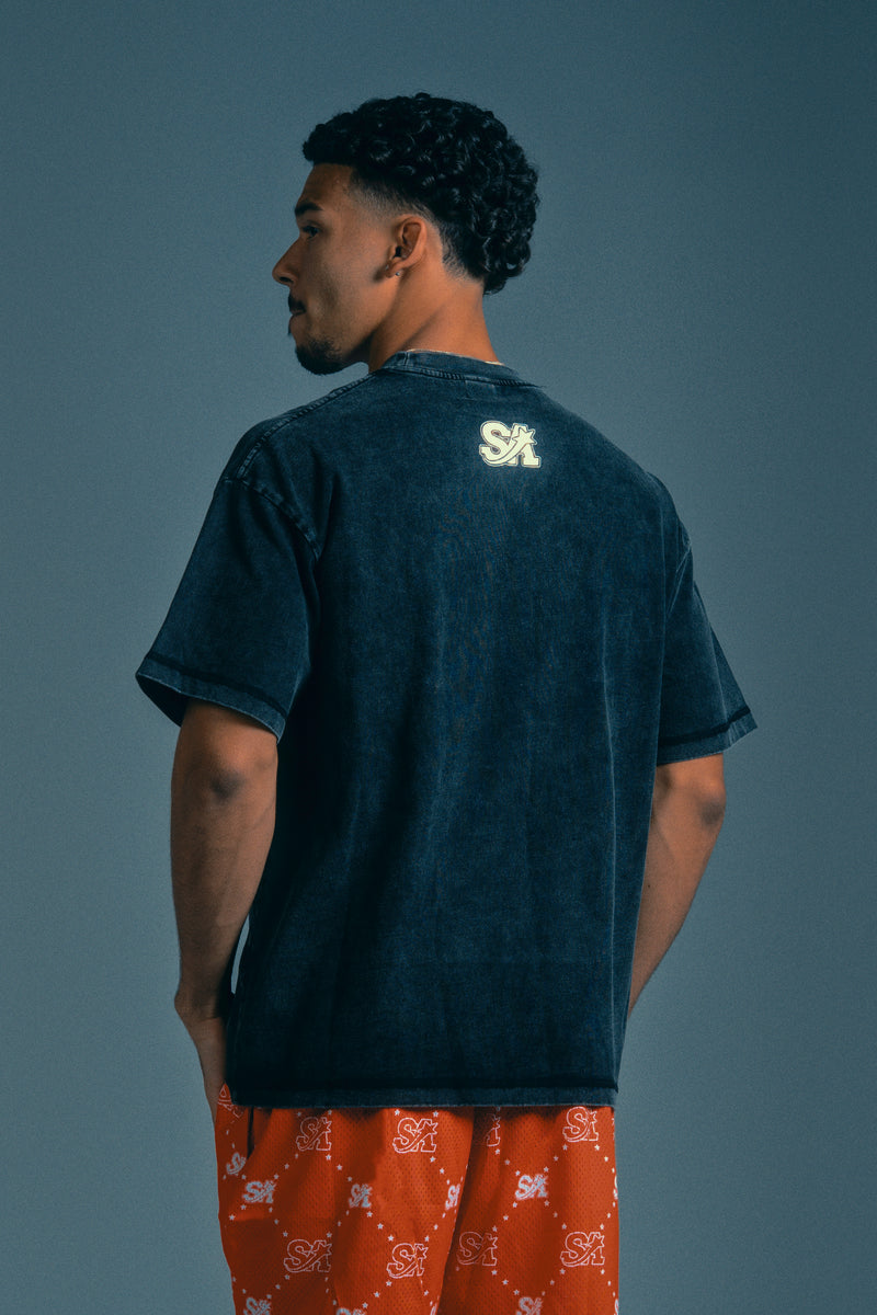 Varsity Logo T Shirt